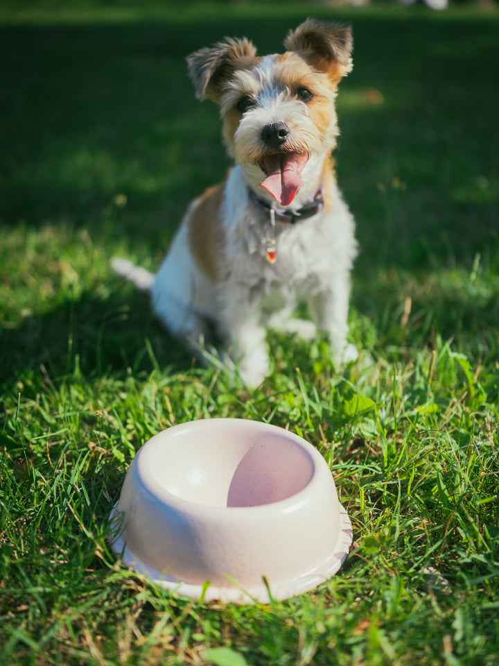 Miska Dla Zwierząt Marshmallow Duża